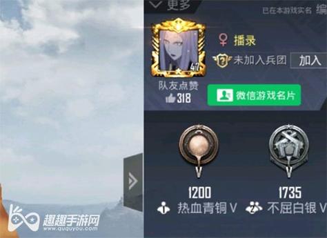 和平精英内核辅助【ADC手搓内核】无后座力 人物穿墙 人物加速 人物飞天 锁头自瞄